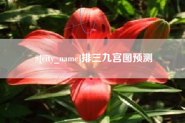 乌兰察布排三九宫图预测
