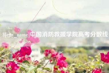 乌兰察布中国消防救援学院高考分数线