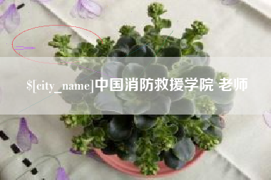 乌兰察布中国消防救援学院 老师