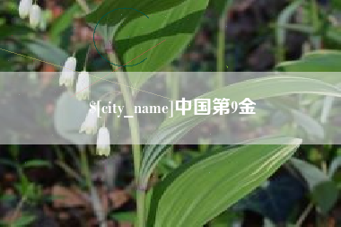 乌兰察布中国第9金