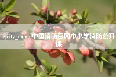 乌兰察布中国消防官网中小学消防公开课