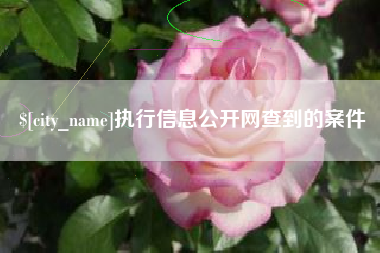 乌兰察布执行信息公开网查到的案件