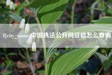 乌兰察布中国执法公开网征信怎么查询