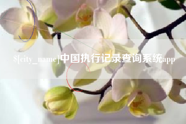 乌兰察布中国执行记录查询系统app