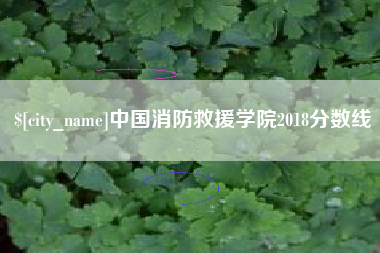 乌兰察布中国消防救援学院2018分数线