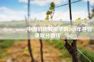 乌兰察布中国消防救援学院2020年各省录取分数线