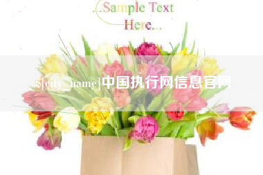 乌兰察布中国执行网信息官网