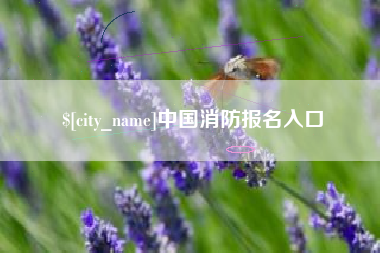 乌兰察布中国消防报名入口