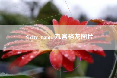 乌兰察布九宫格龙图片