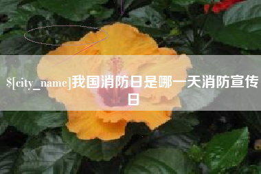 乌兰察布我国消防日是哪一天消防宣传日