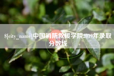 乌兰察布中国消防救援学院2019年录取分数线