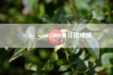 乌兰察布5000米及格成绩