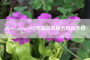 乌兰察布2025年消防员报名时间表格
