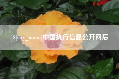 乌兰察布中国执行信息公开网后