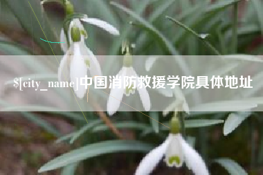 乌兰察布中国消防救援学院具体地址