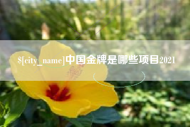 乌兰察布中国金牌是哪些项目2021