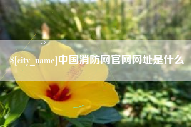乌兰察布中国消防网官网网址是什么