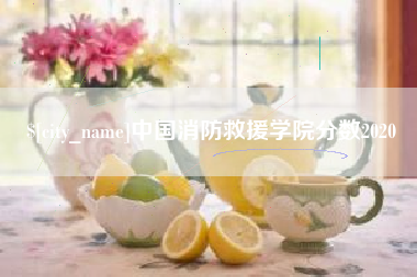 乌兰察布中国消防救援学院分数2020