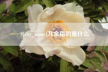 乌兰察布九金指的是什么