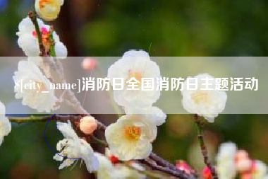 乌兰察布消防日全国消防日主题活动