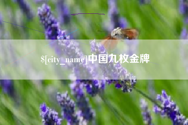 乌兰察布中国九枚金牌