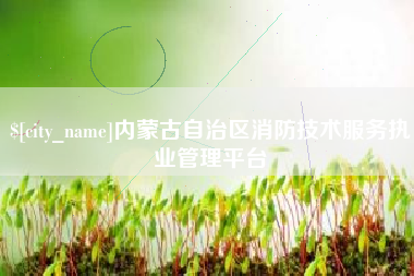 乌兰察布内蒙古自治区消防技术服务执业管理平台