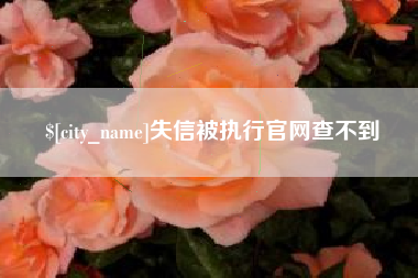 乌兰察布失信被执行官网查不到