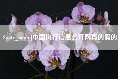 乌兰察布中国执行信息公开网真的假的