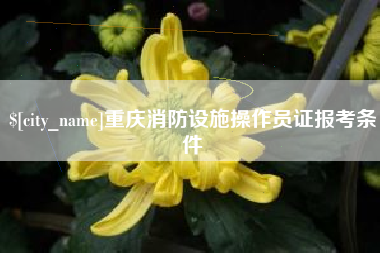 乌兰察布重庆消防设施操作员证报考条件