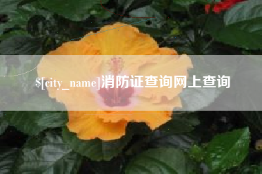 乌兰察布消防证查询网上查询