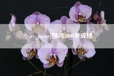 乌兰察布国内5000米成绩