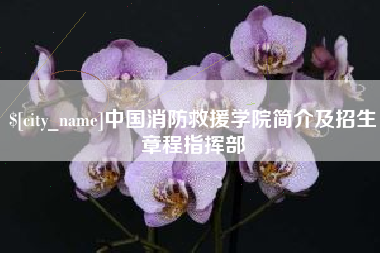 乌兰察布中国消防救援学院简介及招生章程指挥部