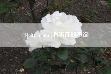 乌兰察布消防证的查询