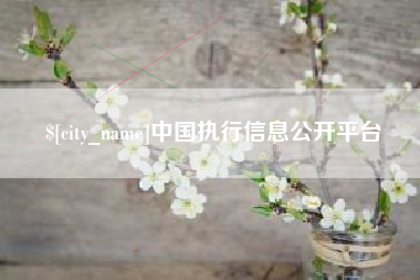 乌兰察布中国执行信息公开平台