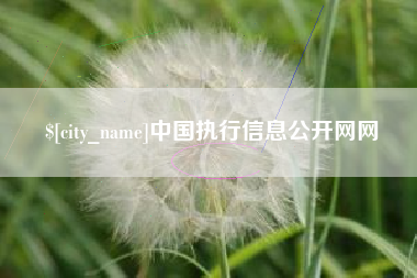 乌兰察布中国执行信息公开网网