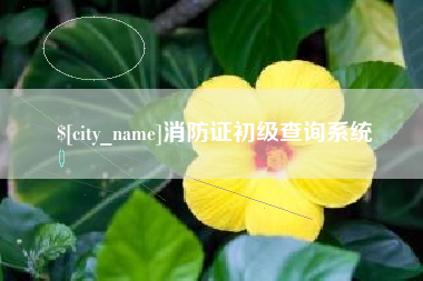 乌兰察布消防证初级查询系统