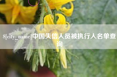 乌兰察布中国失信人员被执行人名单查询
