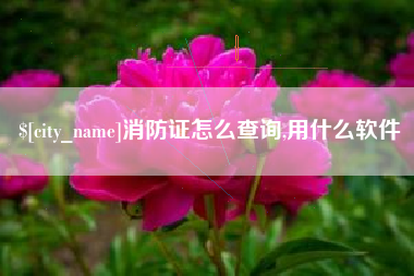 乌兰察布消防证怎么查询,用什么软件