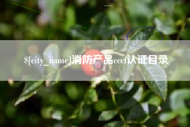 乌兰察布消防产品cccf认证目录