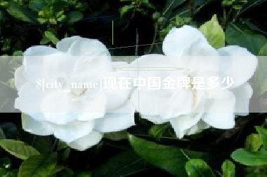 乌兰察布现在中国金牌是多少