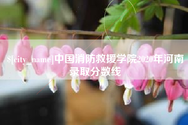 乌兰察布中国消防救援学院2020年河南录取分数线