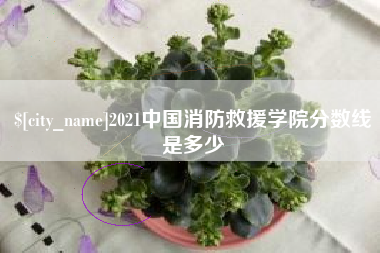 乌兰察布2021中国消防救援学院分数线是多少