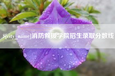 乌兰察布消防救援学院招生录取分数线
