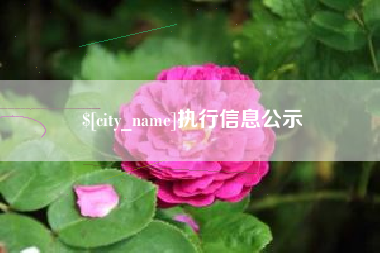 乌兰察布执行信息公示