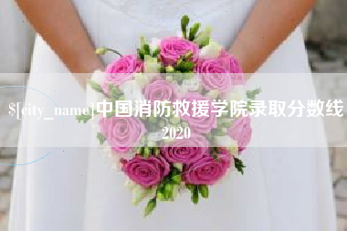 乌兰察布中国消防救援学院录取分数线2020