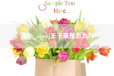 乌兰察布王子豪是怎么写