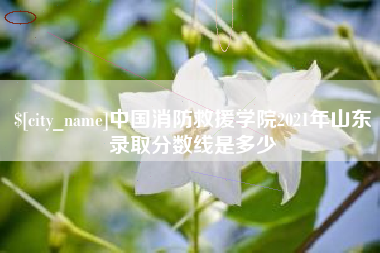 乌兰察布中国消防救援学院2021年山东录取分数线是多少