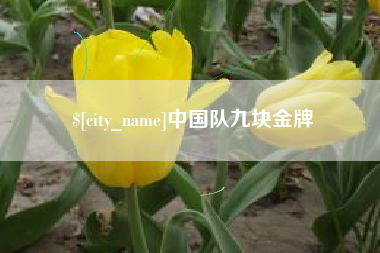 乌兰察布中国队九块金牌