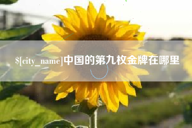 乌兰察布中国的第九枚金牌在哪里