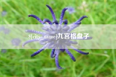 乌兰察布九宫格盘子